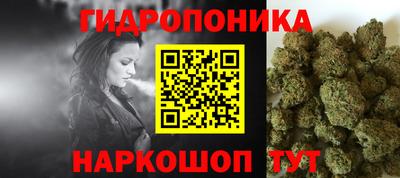 крисы Кандалакша