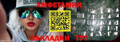 apvp Кингисепп