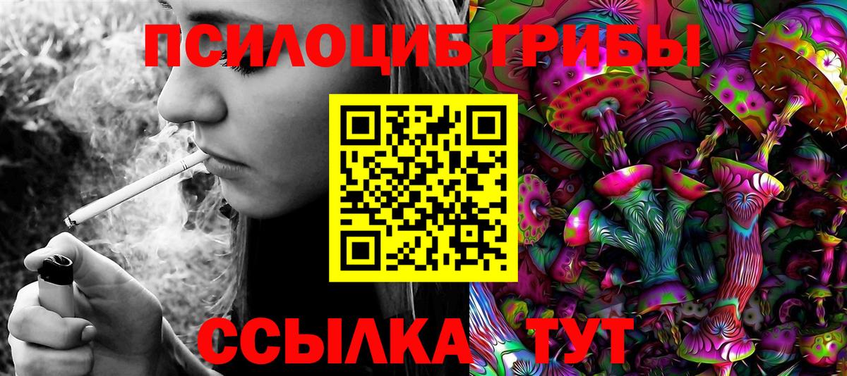 Каменск-Шахтинский  Галлюциногенные грибы мицелий  Вход с VPN 